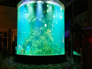 china custom cheap super big round pmma glass aquariums clear cylinder acrylic fish tank
