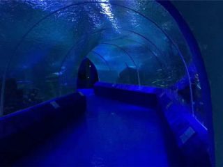180 o 90 Degree Acrylic Panels para sa Aquarium Tunnel
