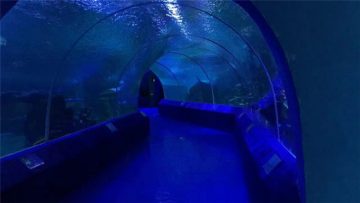 180 o 90 Degree Acrylic Panels para sa Aquarium Tunnel