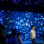 2018 acrylic dikya aquarium tank glass