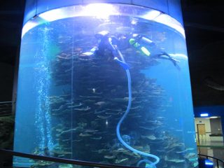 malinaw na acrylic cylinder malaking tangke ng isda para sa mga aquarium o parke ng karagatan