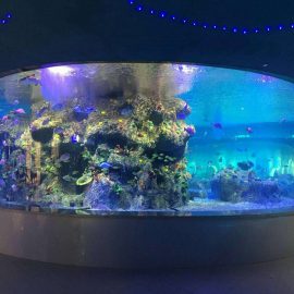 factory supply isda bowls, round glass aquarium aquarium
