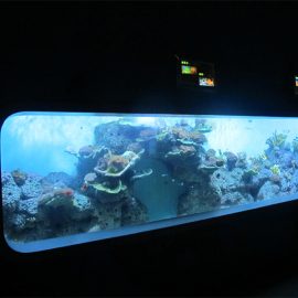 Artipisyal na Cast Acrylic Cylindrical Transparent fish aquarium / view window
