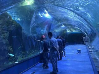 Ang proyekto ng aquarium na tunel sa aquarium sa mga pampublikong aquarium