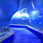 I-clear ang pmma acrylic Malaking plastic tunnel ng aquarium