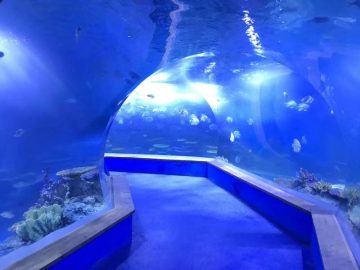 I-clear ang pmma acrylic Malaking plastic tunnel ng aquarium
