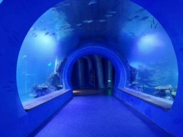 Mataas na malinaw na malaking acrylic tunnel aquarium ng iba't ibang mga hugis