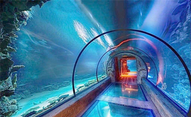Modernong disenyo acrylic aquarium long tunnel