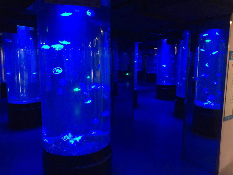 acrylic dikya aquarium tank glass